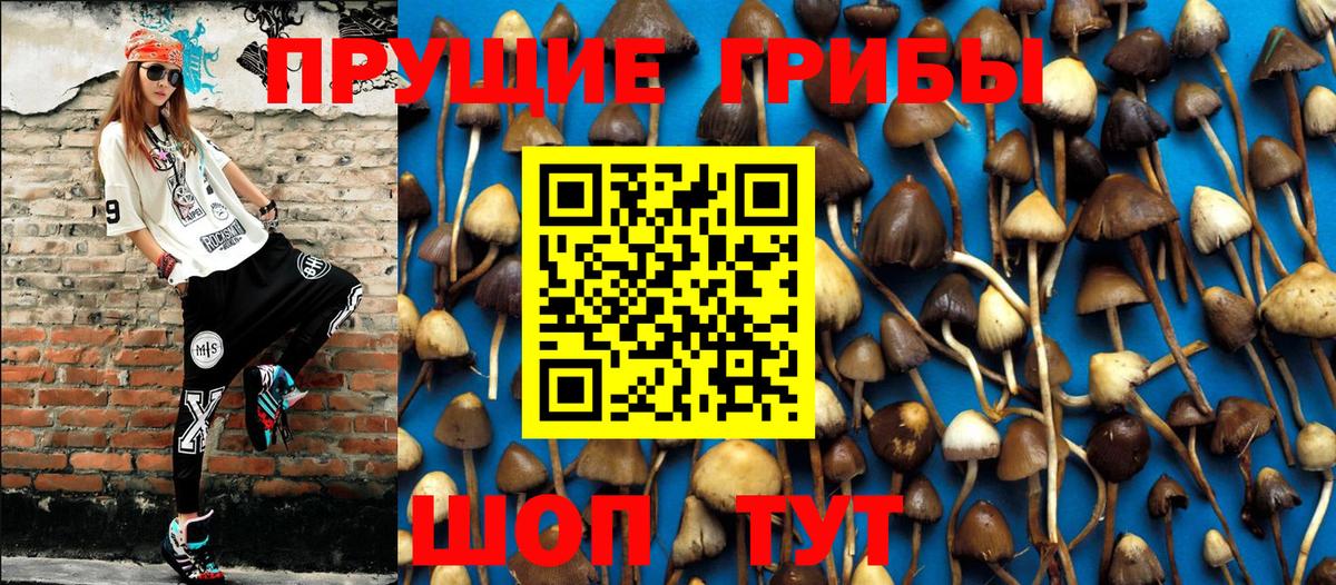 Отрадный  где продают наркотики  Вход с VPN  Галлюциногенные грибы Psilocybine cubensis 